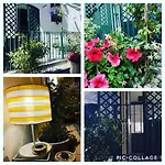 Zziny House * Κατάνια