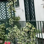 Διαμέρισμα Zziny House Κατάνια