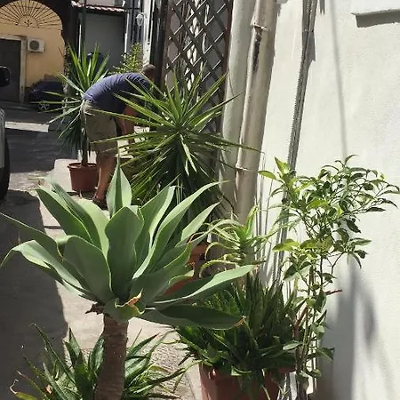Zziny House * Catania