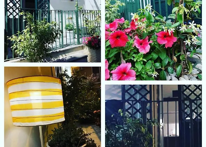 Zziny House * Catane